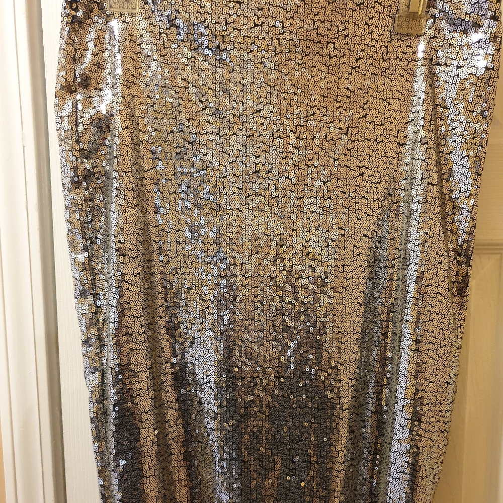 Silver Sequin Fitted Skirt